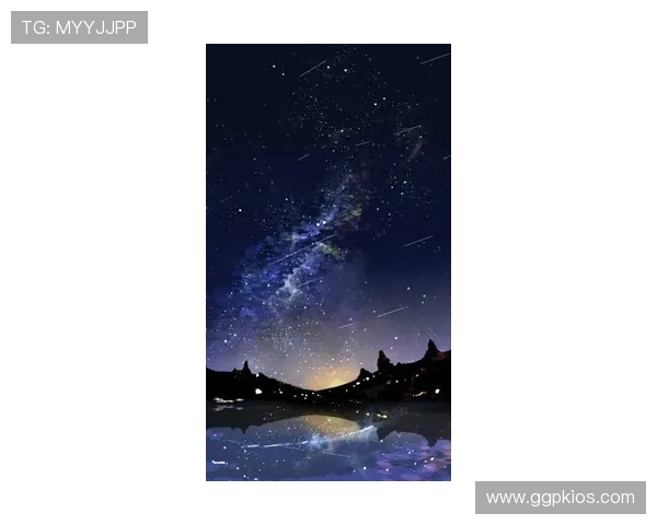 星空线上官方入口：官方授权的星空线上入口网址及安全使用指南