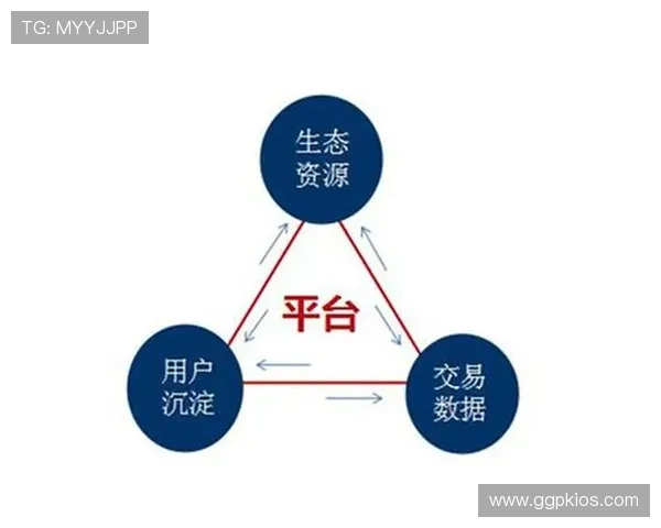 选择必赢旗舰平台打造安全稳定的企业运营新生态